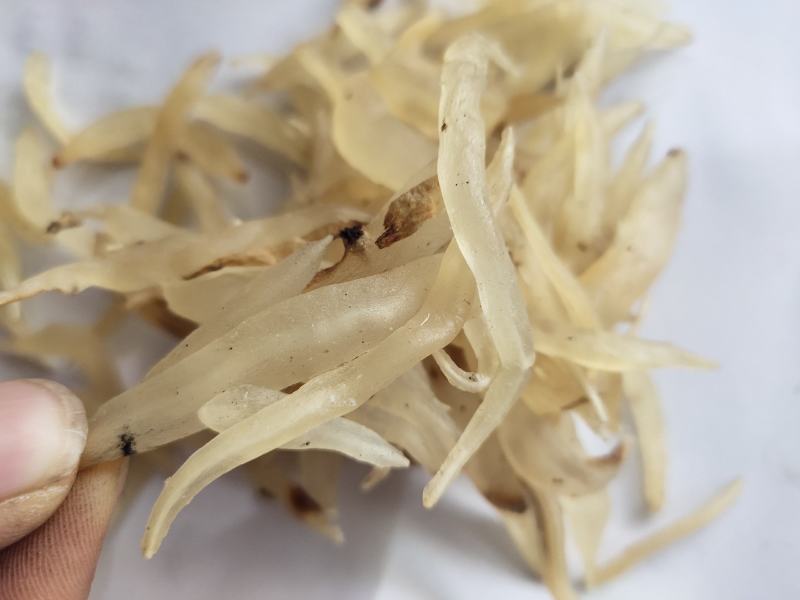 广西天门冬新货天冬干货