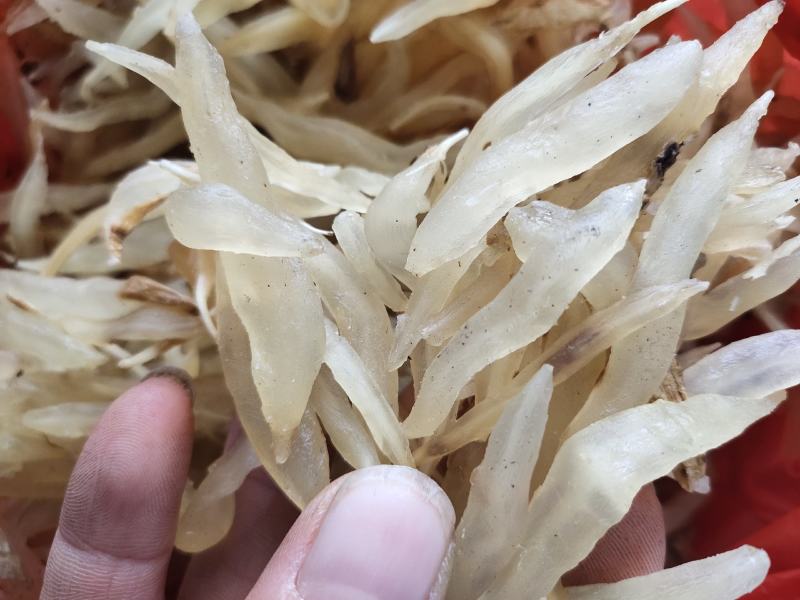 广西天门冬新货天冬干货