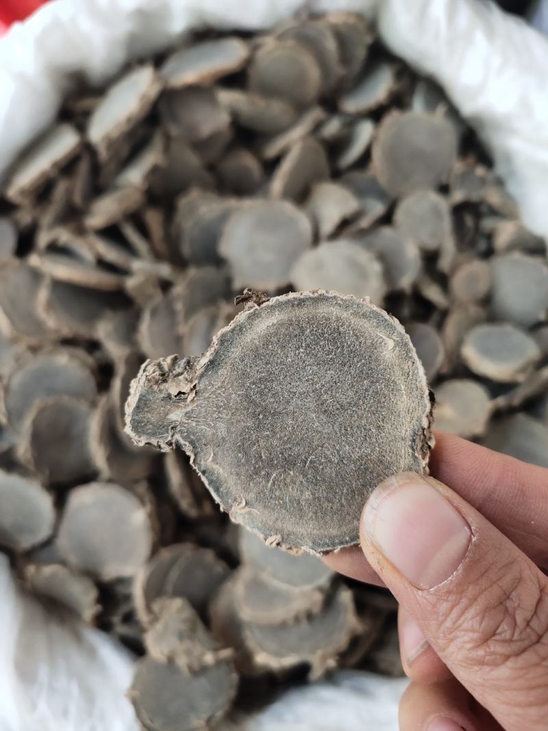 广西莪术过检莪术片选货大片级
