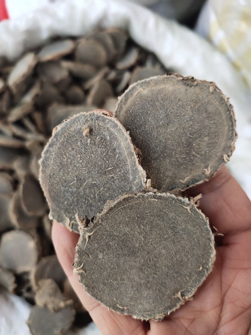 广西莪术过检莪术片选货大片级