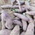 【包邮】山地沙土一支香板粟薯面甜可口原始种植现挖现发一件代发