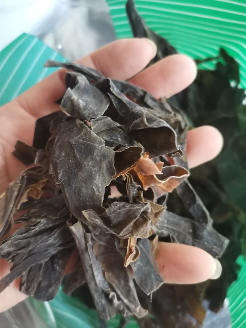 昆布山东药食两用无硫熏一公斤起包邮