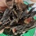 昆布山东药食两用无硫熏一公斤起包邮