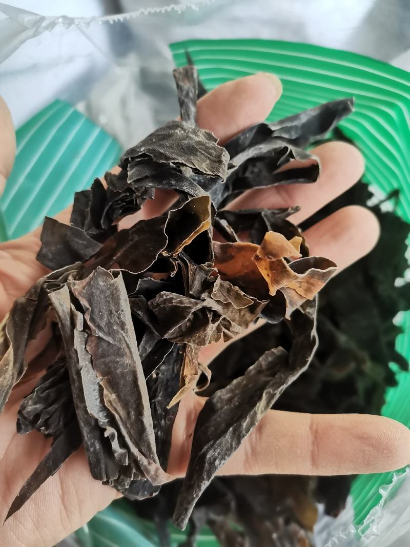 昆布山东药食两用无硫熏一公斤起包邮