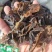 昆布山东药食两用无硫熏一公斤起包邮