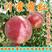 嫁接沂蒙霜红桃树苗，南北方种植庭院种植，当年结果盆栽地栽