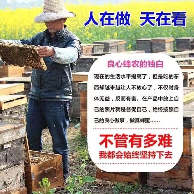 【求购买】热销河南农家自产深山百花蜜新鲜原蜜土蜜蜂