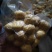 沂蒙山有机板栗栗米，栗仁，仁大量供应，对接电商微商商超