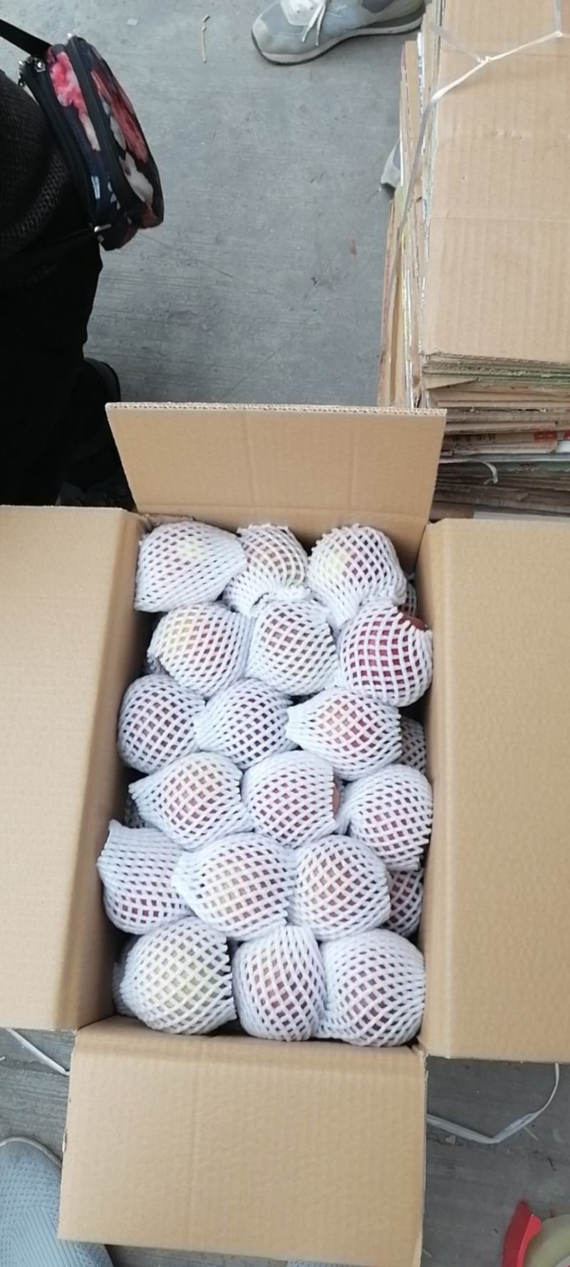 【推荐】高山糖心丑苹果又脆又甜可视频看货原产地直供