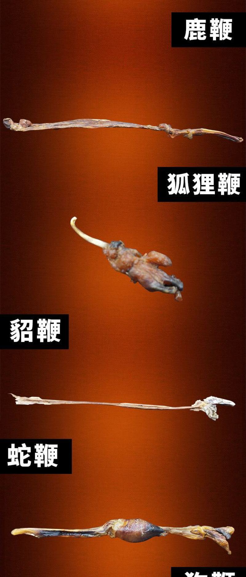 【82味虫草十种鞭]泡酒料男性滋补养生酒泡酒中药材