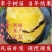 黑巨王李，个头大，脆甜多汁，基地直发，保证品种