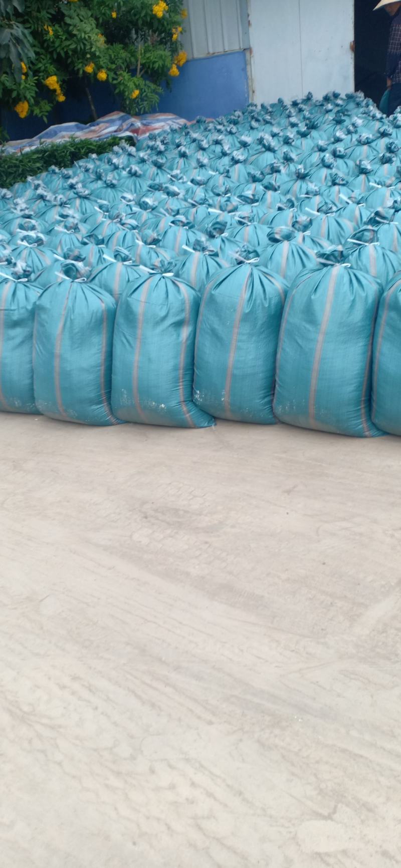 新鲜出炉的豆腐渣需要的提前联系我