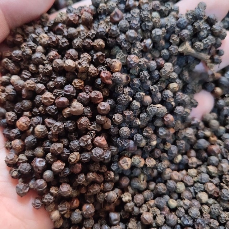 黑胡椒大料黑胡椒实物拍摄保庆药材批发黑胡椒