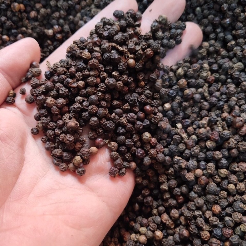 黑胡椒大料黑胡椒实物拍摄保庆药材批发黑胡椒