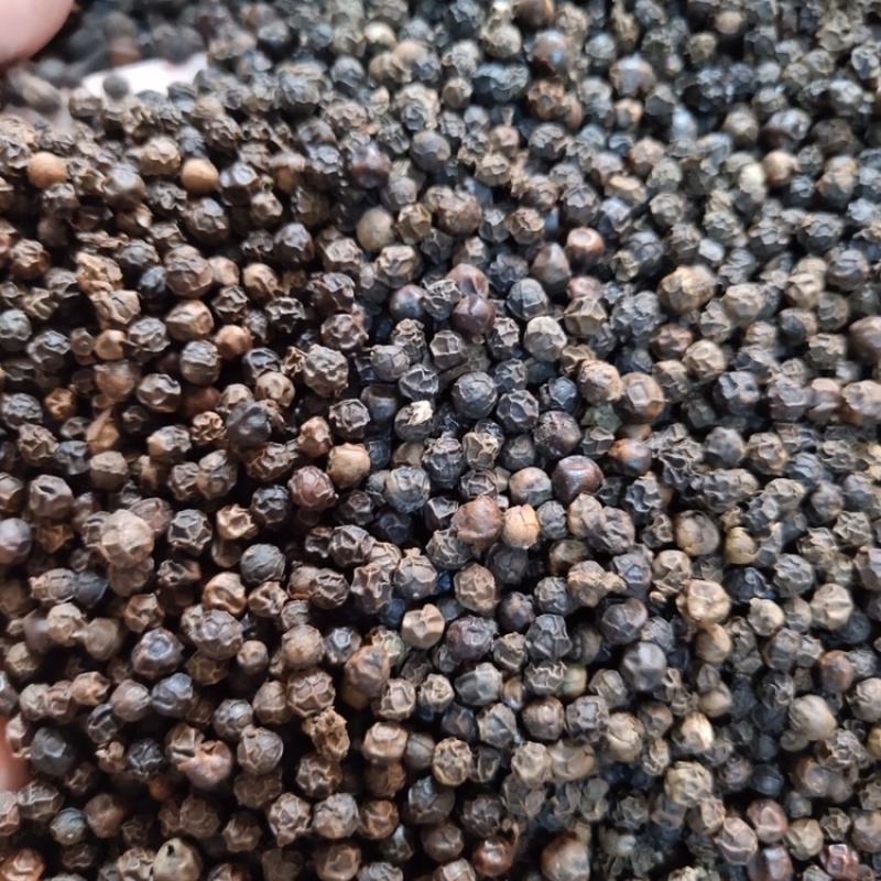 黑胡椒大料黑胡椒实物拍摄保庆药材批发黑胡椒