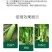 【包邮】巨力丰膨大拉长粗细均匀减少畸形果型周正