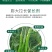 【包邮】巨力丰膨大拉长粗细均匀减少畸形果型周正