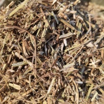 花生秧，产地供货，质优价廉，免费提供草包上车