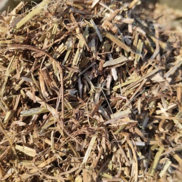 花生秧，产地供货，质优价廉，免费提供草包上车