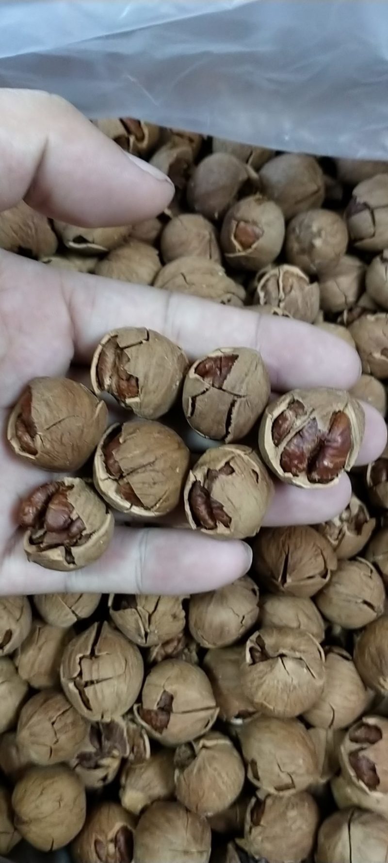 临安各类土特产应有尽有