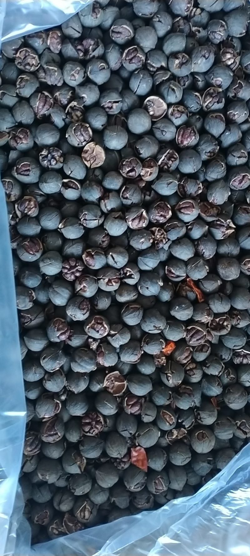 临安各类土特产应有尽有