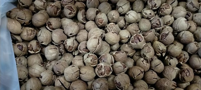 临安各类土特产应有尽有