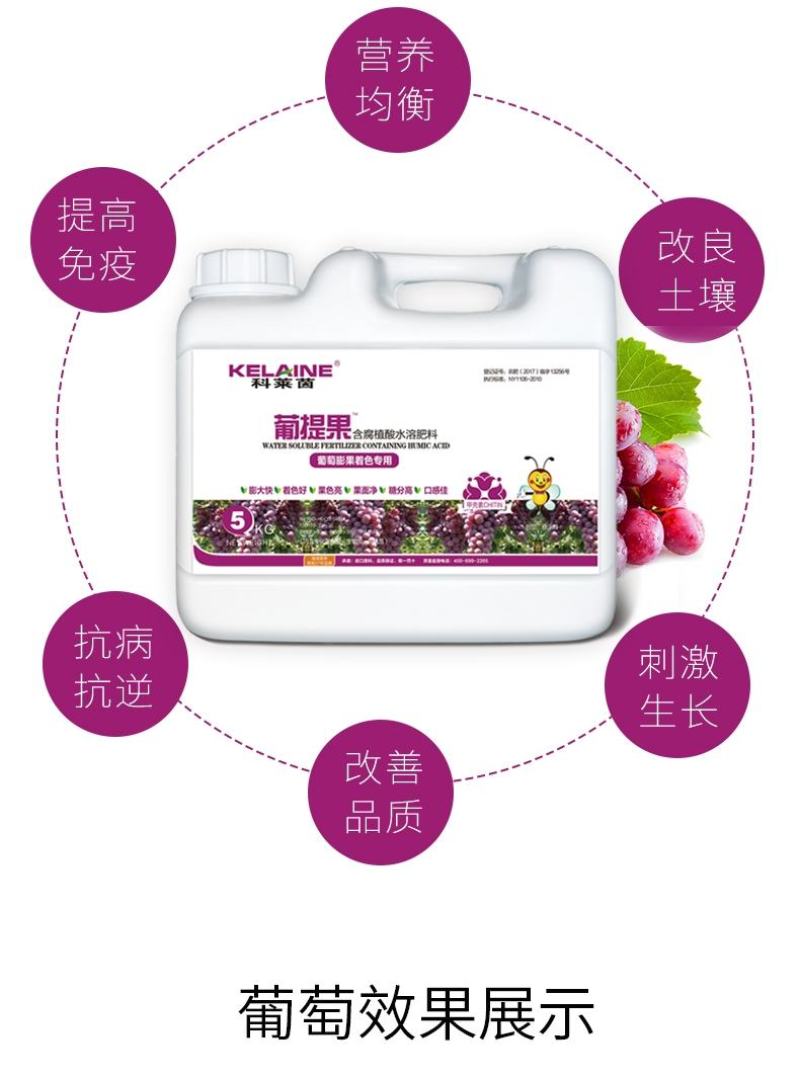 科莱茵葡提果葡萄用肥-悬浮剂5kg/桶