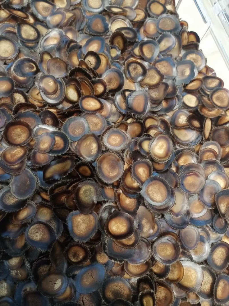 半腊片鹿茸片半腊片鹿角片东北吉林鹿场直发包邮