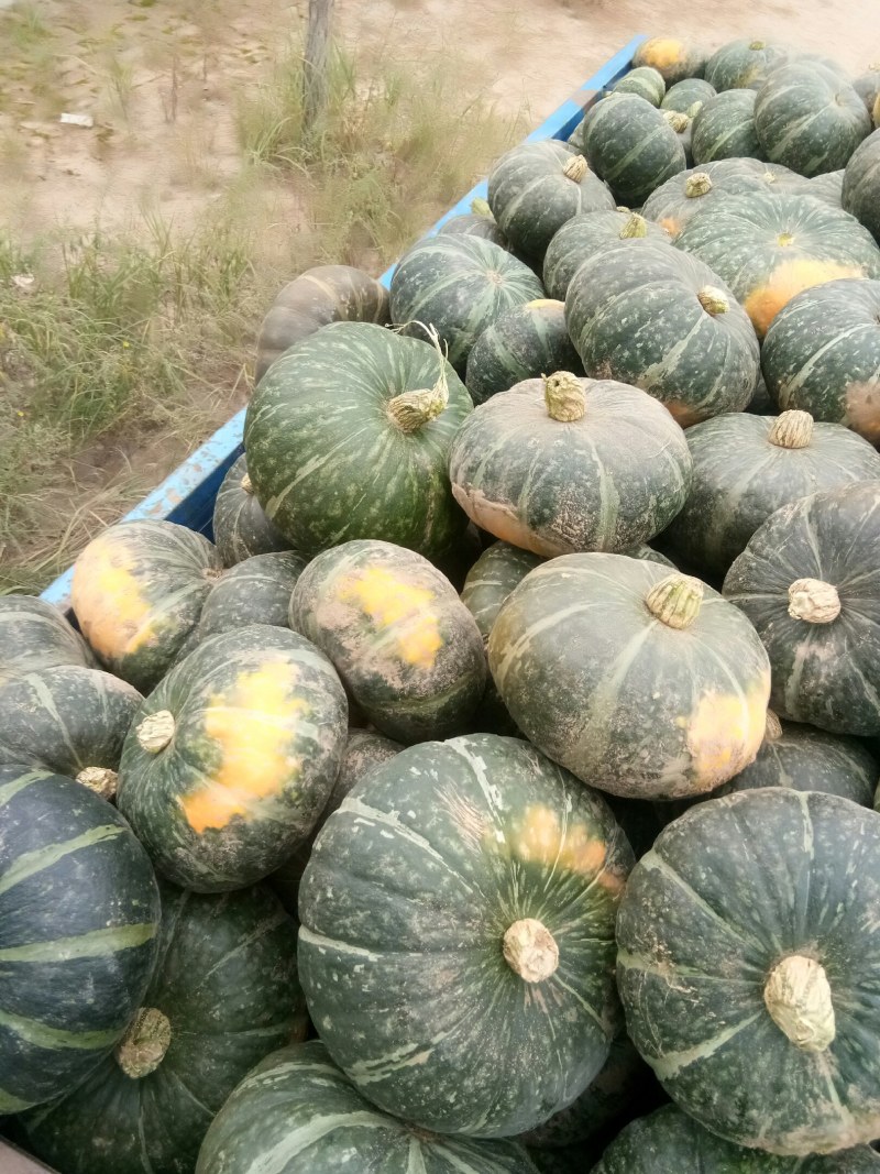 板栗银栗价格不高大小都有