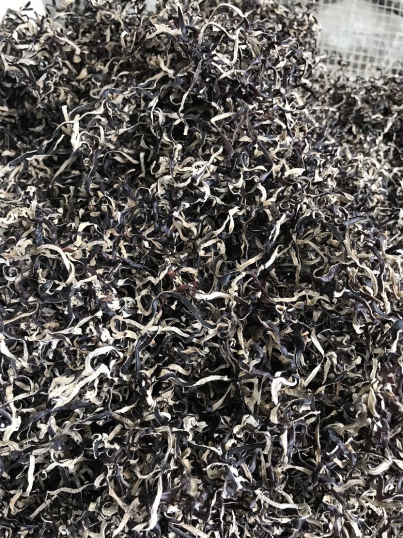 精选木耳丝螺蛳粉餐饮小吃店电商批发大量货源供应