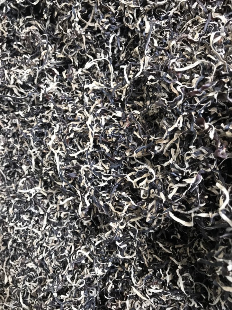 精选木耳丝螺蛳粉餐饮小吃店电商批发大量货源供应