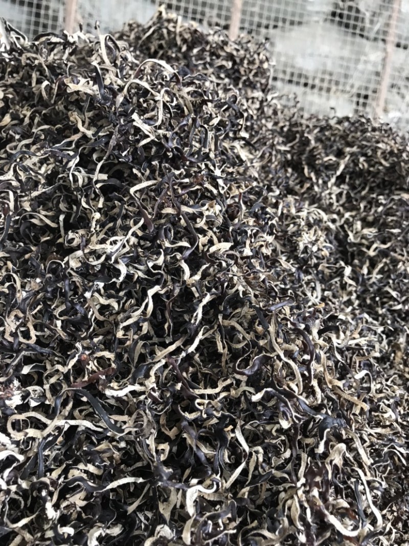 精选木耳丝螺蛳粉餐饮小吃店电商批发大量货源供应