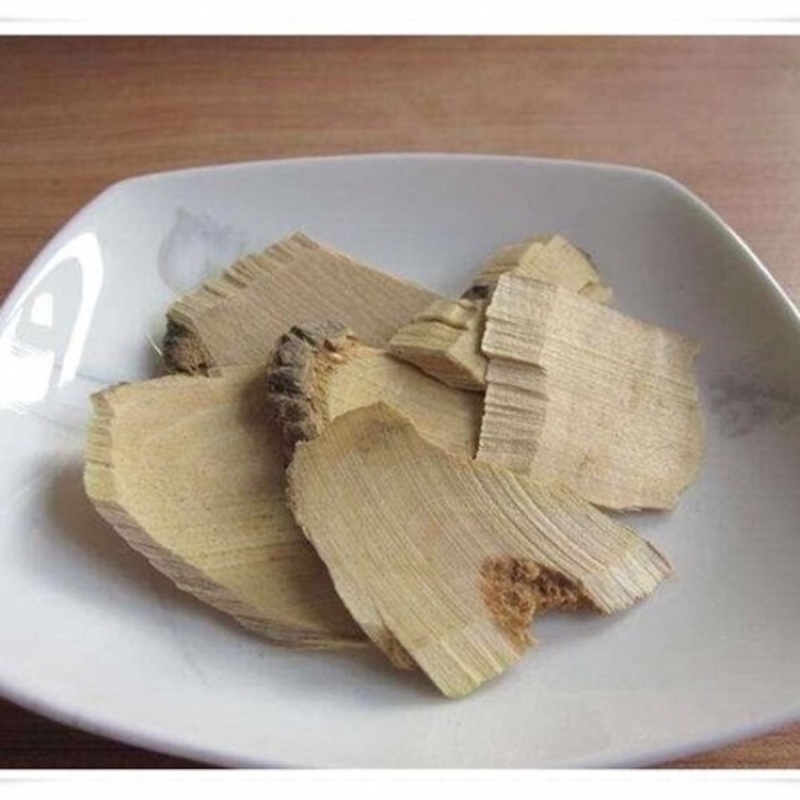 接骨木续骨木接骨风保庆药业批发接骨木