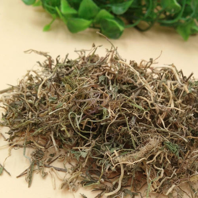 半边莲保庆药业批发半边连颜色青过筛货半边连实拍