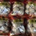 礼品袋天白大花菇厚肉剪脚500g产地一手货源批发干花菇冬
