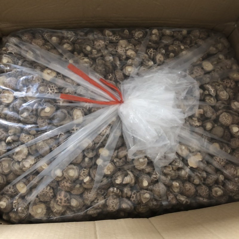 礼品袋天白大花菇厚肉剪脚500g产地一手货源批发干花菇冬