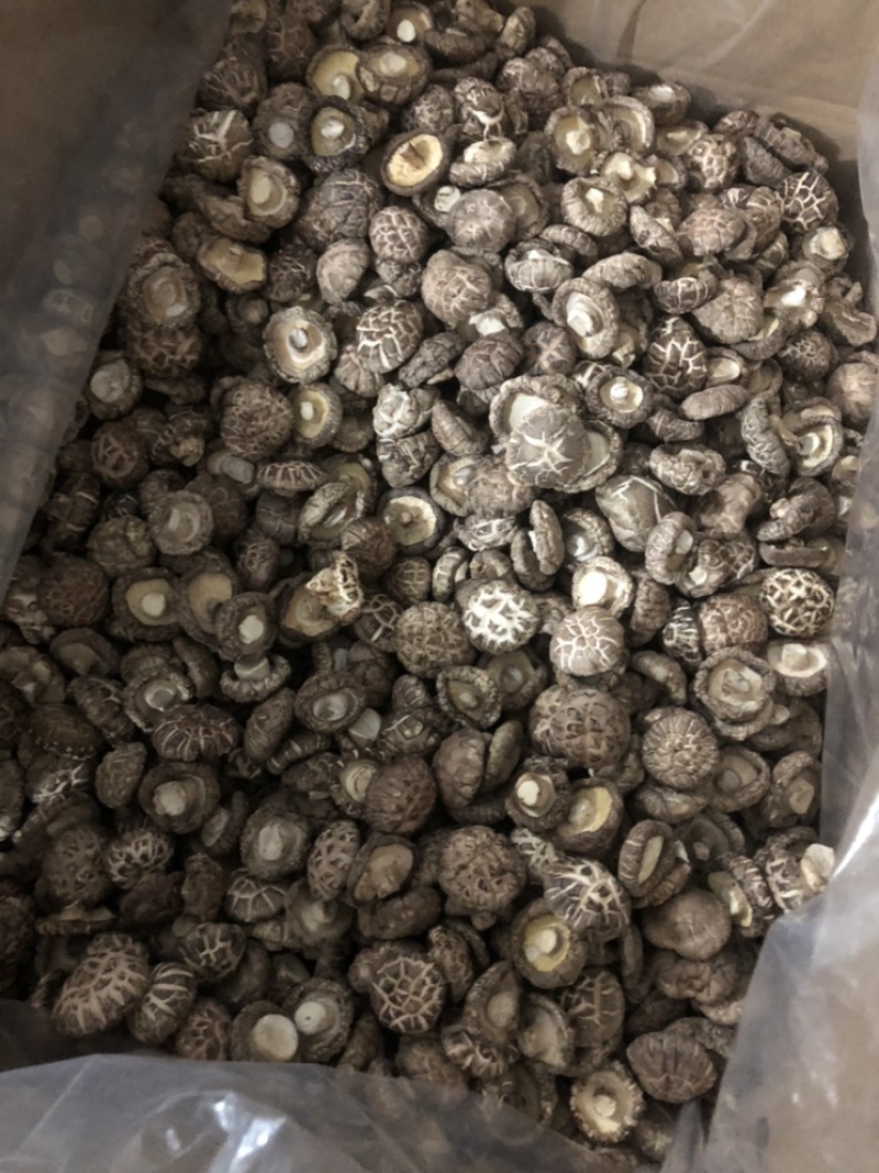 出口级花菇干货干香菇蘑菇冬菇500g河南花菇产地一手货源