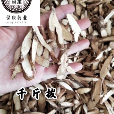 千斤拔一条根一头根冷背保庆药业批发