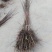 阳丰柿子苗、柿子苗价格、吊红柿子苗、火葫芦柿子苗、柿子苗