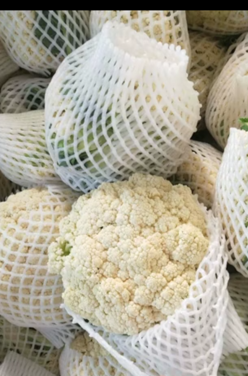 福建青梗有机花，手头上货源充足，以诚信为主，专业代办。