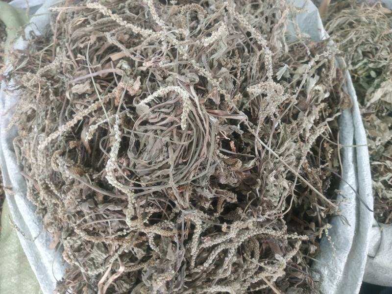 车前草～新货～产地现货～量大优惠～1公斤起售～