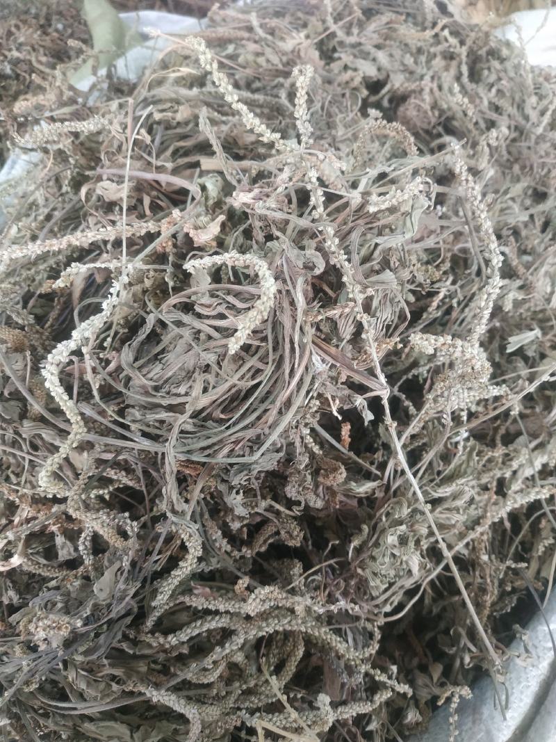 车前草～新货～产地现货～量大优惠～1公斤起售～