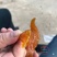 大熊山红薯干一件代发，包邮批发满400斤包运费