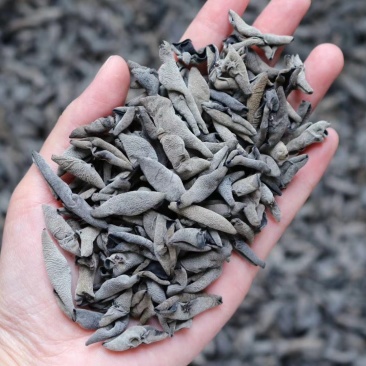 广州人特价老鼠耳黑木耳1.1规格性平味甘一件代发批发