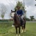 精品C型Pony母马，身高1.38米，5岁，本马非常漂亮