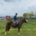 精品C型Pony母马，身高1.38米，5岁，本马非常漂亮