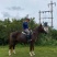 精品C型Pony母马，身高1.38米，5岁，本马非常漂亮