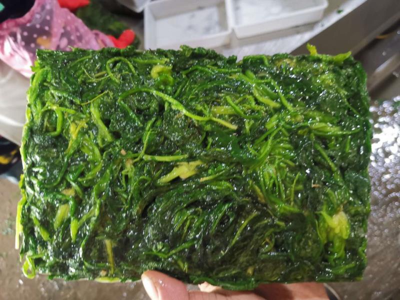 新货荠菜速冻荠菜馅速冻荠菜整棵脱水荠菜碎脱水荠菜整棵批发