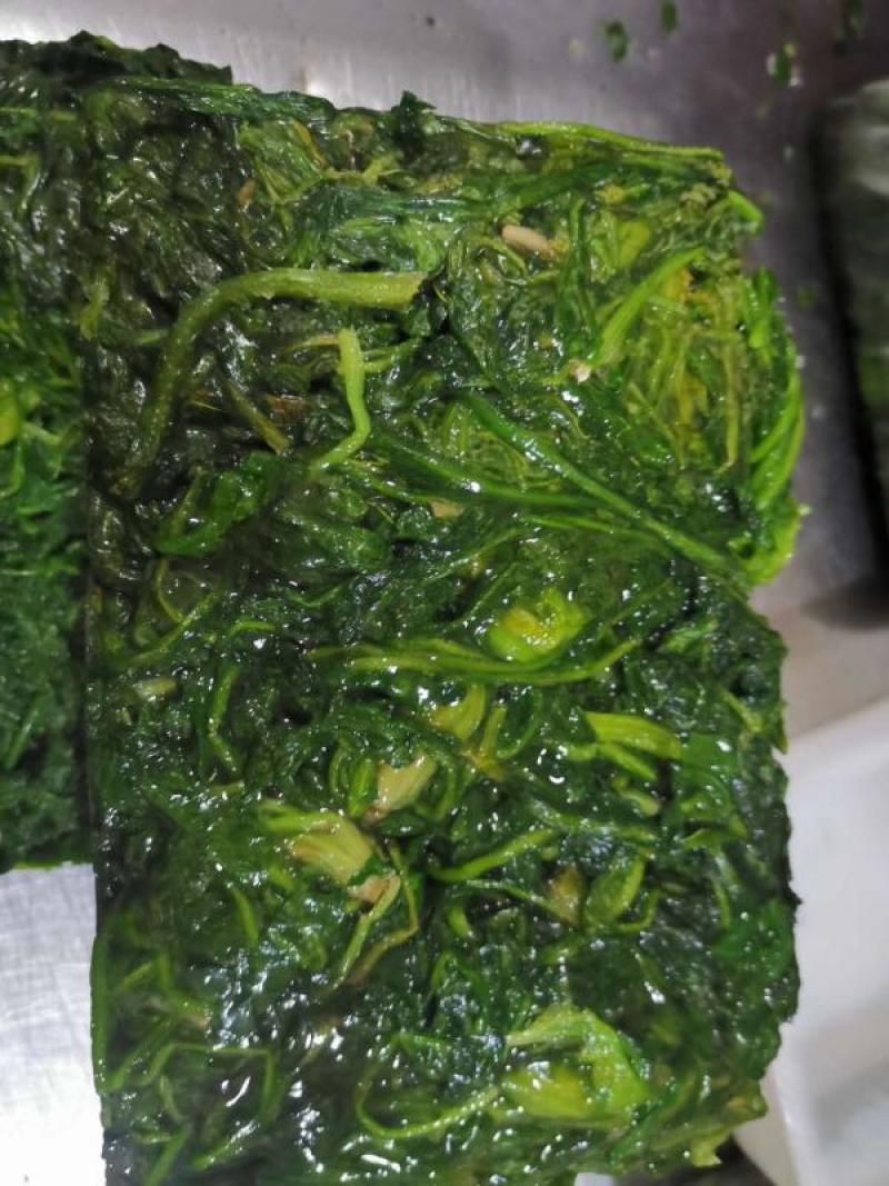 新货荠菜速冻荠菜馅速冻荠菜整棵脱水荠菜碎脱水荠菜整棵批发