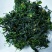 新货荠菜速冻荠菜馅速冻荠菜整棵脱水荠菜碎脱水荠菜整棵批发